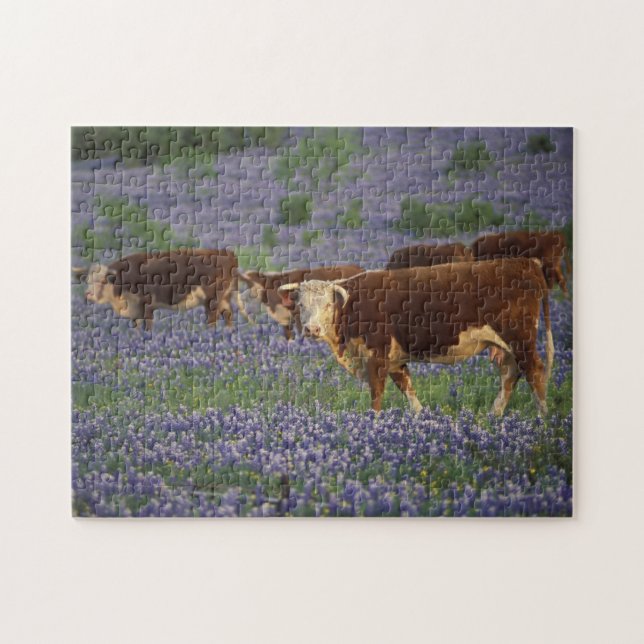 USA, Texas, Texas Hill Country, Hereford Jigsaw Puzzle (Horizontal)