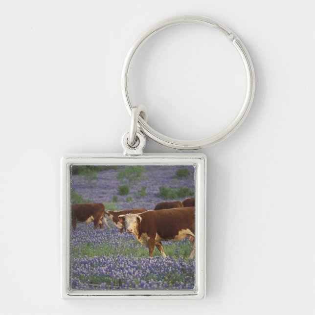 USA, Texas, Texas Hill Country, Hereford Keychain (Front)