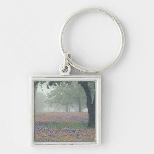 USA, Texas. Texas paintbrush and bluebonnets Keychain