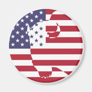 USA United States Buffalo Bison American National  Magnet