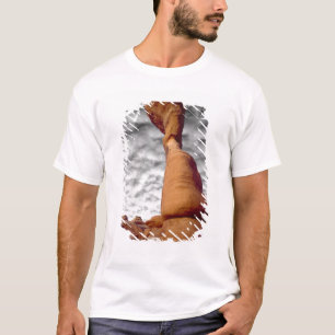 USA, Utah, Arches National Park. Portion of T-Shirt