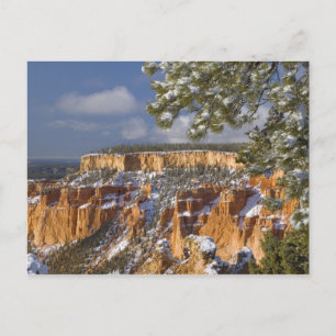 USA, Utah, Bryce Canyon National Park. Sunrise Postcard