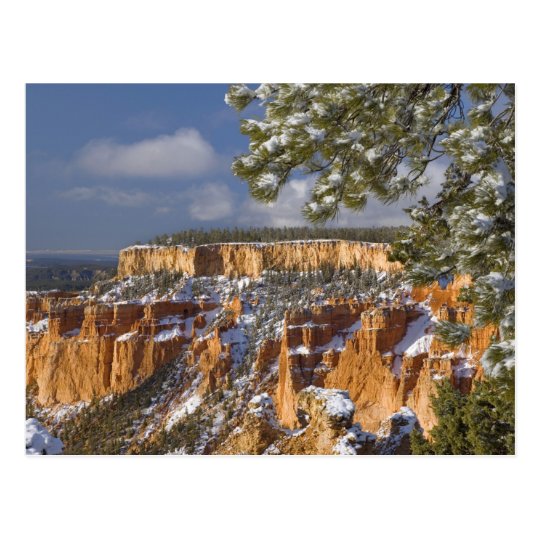 USA, Utah, Bryce Canyon National Park. Sunrise Postcard