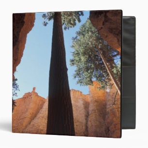 USA, Utah, Bryce Canyon National Park. Tall Binder