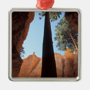 USA, Utah, Bryce Canyon National Park. Tall Metal Ornament