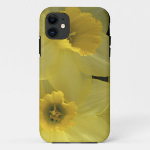 USA, Utah, Cache Valley Daffodils iPhone 11 Case