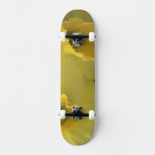 USA, Utah, Cache Valley Daffodils Skateboard