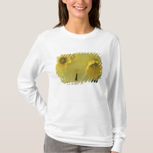 USA, Utah, Cache Valley Daffodils T-Shirt