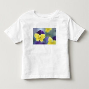 USA, Utah, Cache Valley Detail of a Johnny Jump Toddler T-shirt