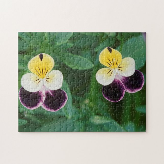 USA, Utah, Cache Valley, Johnny Jump Up Jigsaw Puzzle (Horizontal)