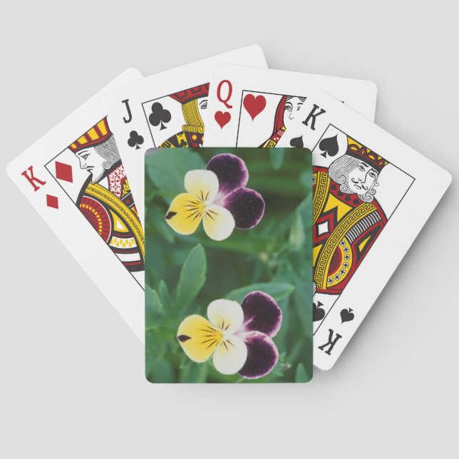 USA, Utah, Cache Valley, Johnny Jump Up Playing Cards (Back)