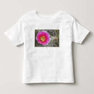 USA, Utah, Canyonlands NP, Desert Prickly Pear Toddler T-shirt