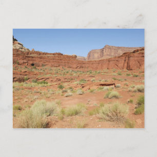 USA, Utah, Canyonlands NP, Shafer Canyon Postcard