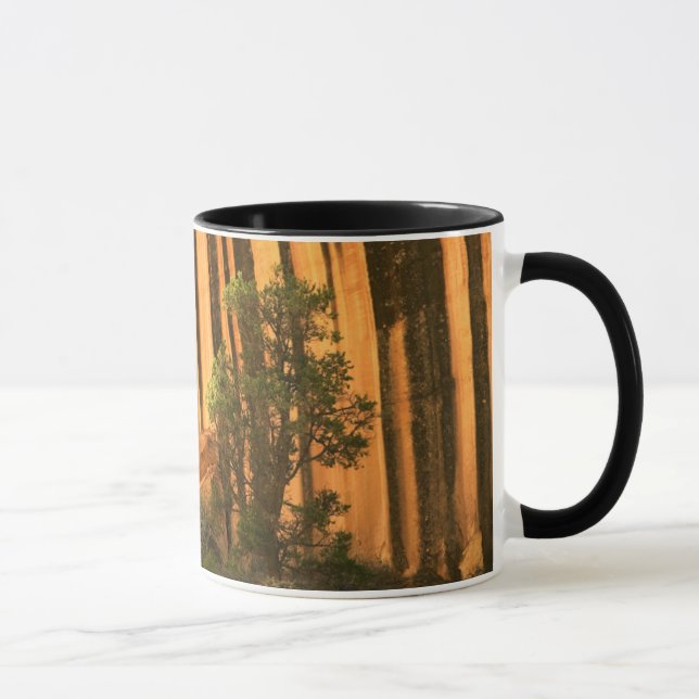USA, Utah, Capitol Reef National Park Mug (Right)