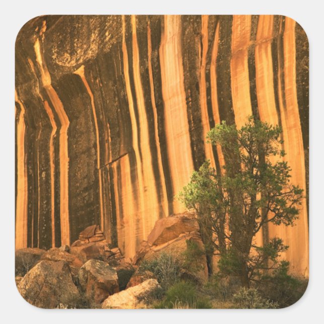 USA, Utah, Capitol Reef National Park Square Sticker (Front)