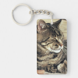 USA, Utah, Capitol Reef NP. Sleeping tabby cat Keychain