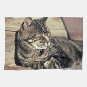 USA, Utah, Capitol Reef NP. Sleeping tabby cat Kitchen Towel