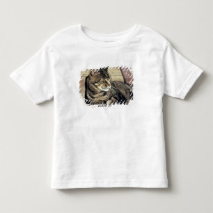 USA, Utah, Capitol Reef NP. Sleeping tabby cat Toddler T-shirt