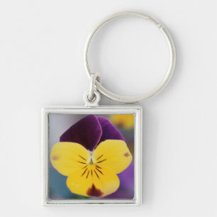 USA, Utah, Close-Up of Viola tricolor in garden Keychain