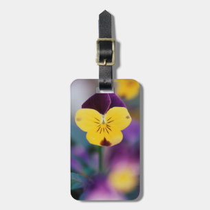 USA, Utah, Close-Up of Viola tricolor in garden Luggage Tag