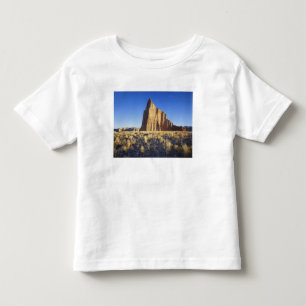 USA, Utah, Colorado Plateau, Lower Cathedral Toddler T-shirt