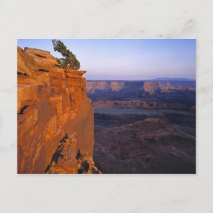 USA, Utah, Dead Horse Point SP. Late light turns Postcard