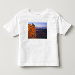 USA, Utah, Dead Horse Point SP. Late light turns Toddler T-shirt