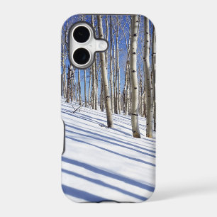 USA, Utah, Dixie National Forest, Aspen Grove