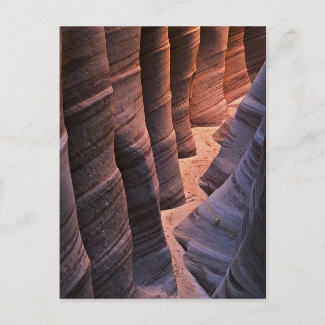 USA, Utah, Escalante. Repeating sandstone Postcard (Front)