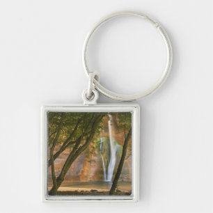 USA, Utah, Escalante Wilderness. A view of Keychain