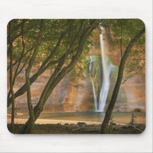 USA, Utah, Escalante Wilderness. A view of Mouse Pad