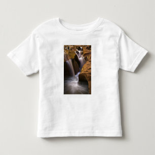 USA, Utah, Escalante Wilderness. Waterfall in 2 Toddler T-shirt