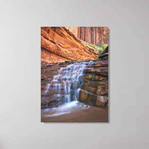 USA, Utah, Escalante Wilderness.  Waterfall in Canvas Print