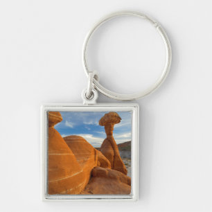 USA, Utah, Grand Staircase Escalante-National Keychain