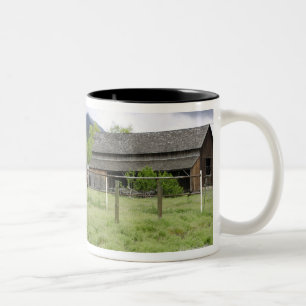 USA, Utah, Horses on ranch Two-Tone Coffee Mug
