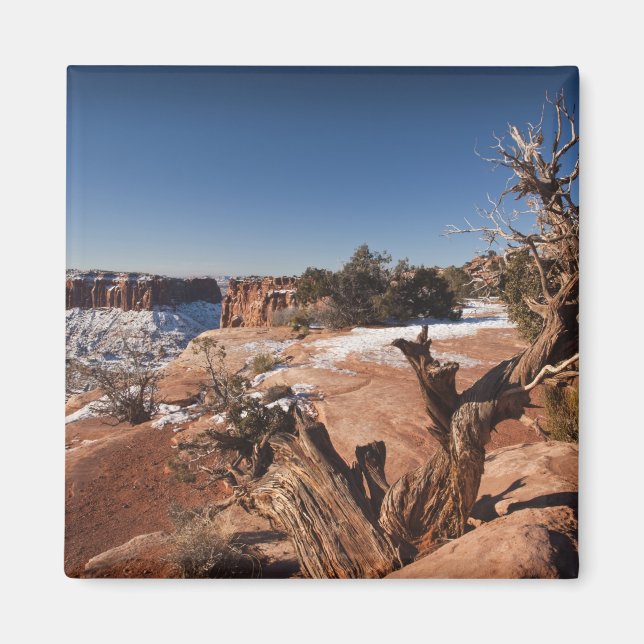 USA, Utah, Moab. Canyonlands National Park, Magnet (Front)