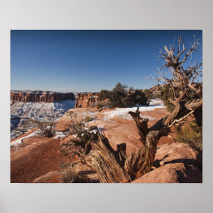 USA, Utah, Moab. Canyonlands National Park, Poster