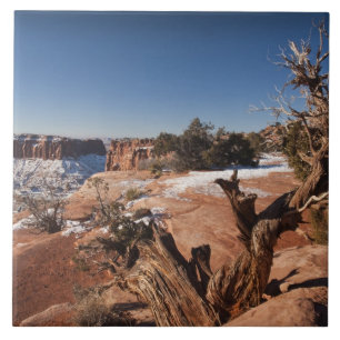 USA, Utah, Moab. Canyonlands National Park, Tile