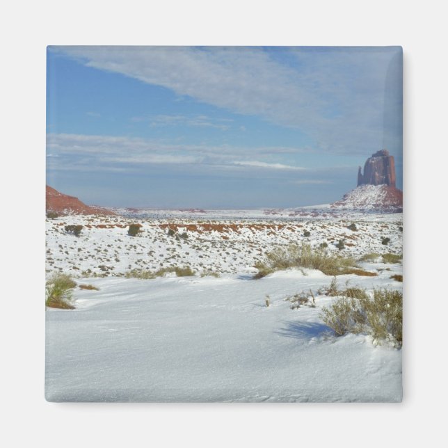 USA, Utah, Monument Valley. Sagebrush shows Magnet (Front)