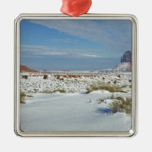 USA, Utah, Monument Valley. Sagebrush shows Metal Ornament