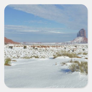 USA, Utah, Monument Valley. Sagebrush shows Square Sticker