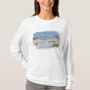 USA, Utah, Monument Valley. Sagebrush shows T-Shirt