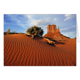 USA, Utah, Monument Valley. Wind creates