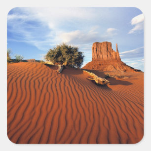 USA, Utah, Monument Valley. Wind creates Square Sticker