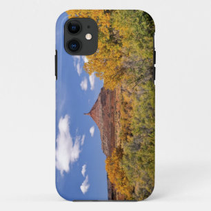 USA, Utah, near Canyonlands National Park on iPhone 11 Case