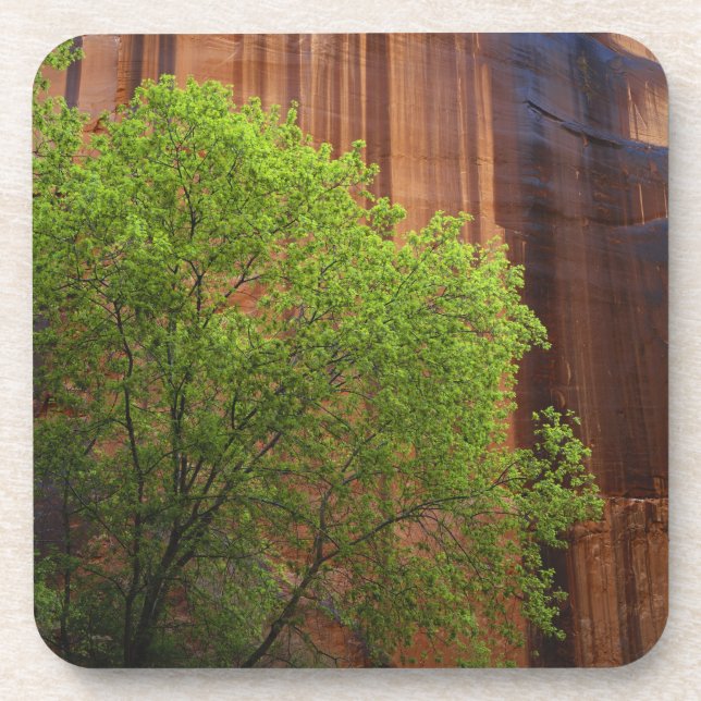 USA, Utah, Paria Canyon- Vermillion Cliffs Coaster (Front)