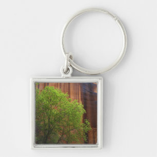 USA, Utah, Paria Canyon- Vermillion Cliffs Keychain
