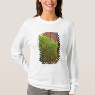 USA, Utah, Paria Canyon- Vermillion Cliffs T-Shirt