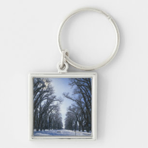 USA, Utah, Salt Lake City, Liberty Park, Keychain