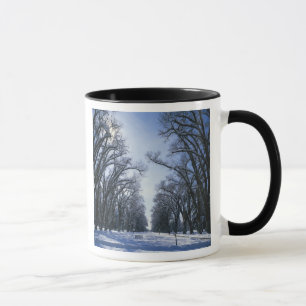 USA, Utah, Salt Lake City, Liberty Park, Mug
